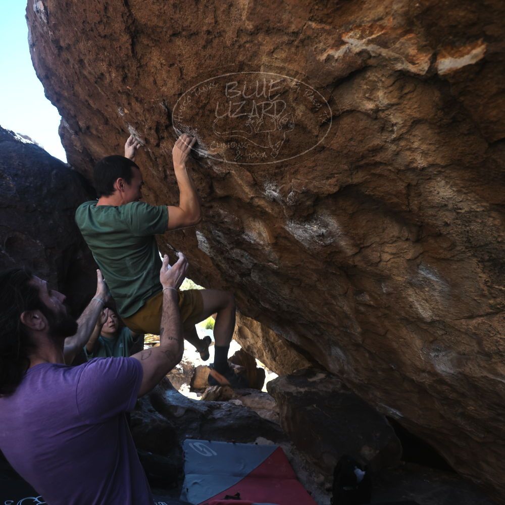 

Filename: SRM_20260208_1411040.jpg
Aperture: f/4.0
Shutter Speed: 1/400
Body: Canon EOS R6
Lens: Canon EF 16-35mm f/2.8 L