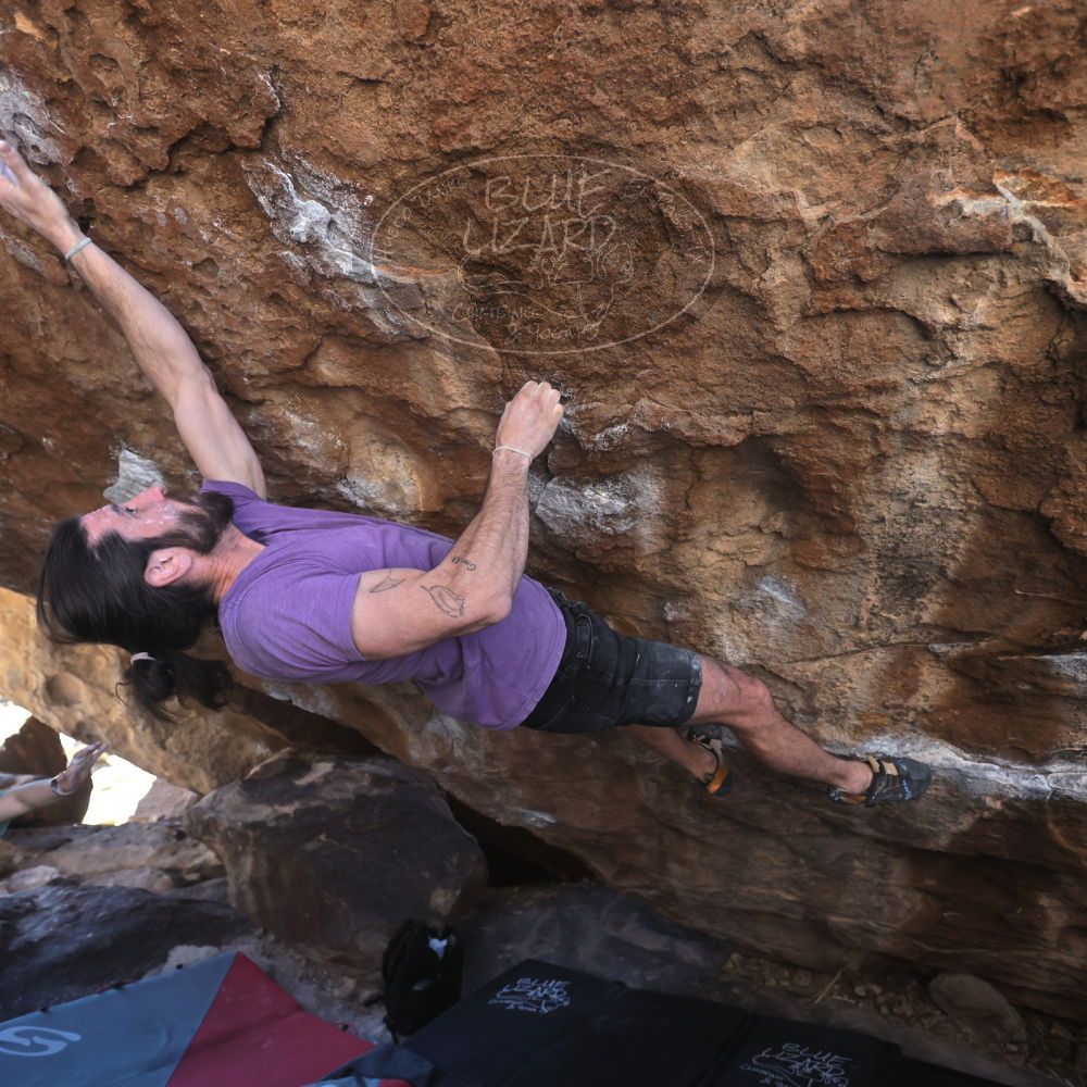 

Filename: SRM_20260208_1411310.jpg
Aperture: f/4.0
Shutter Speed: 1/400
Body: Canon EOS R6
Lens: Canon EF 16-35mm f/2.8 L