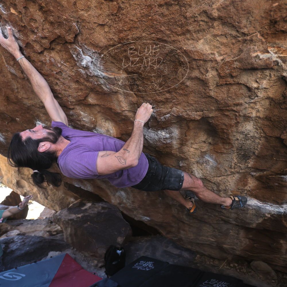 

Filename: SRM_20260208_1411311.jpg
Aperture: f/4.0
Shutter Speed: 1/400
Body: Canon EOS R6
Lens: Canon EF 16-35mm f/2.8 L