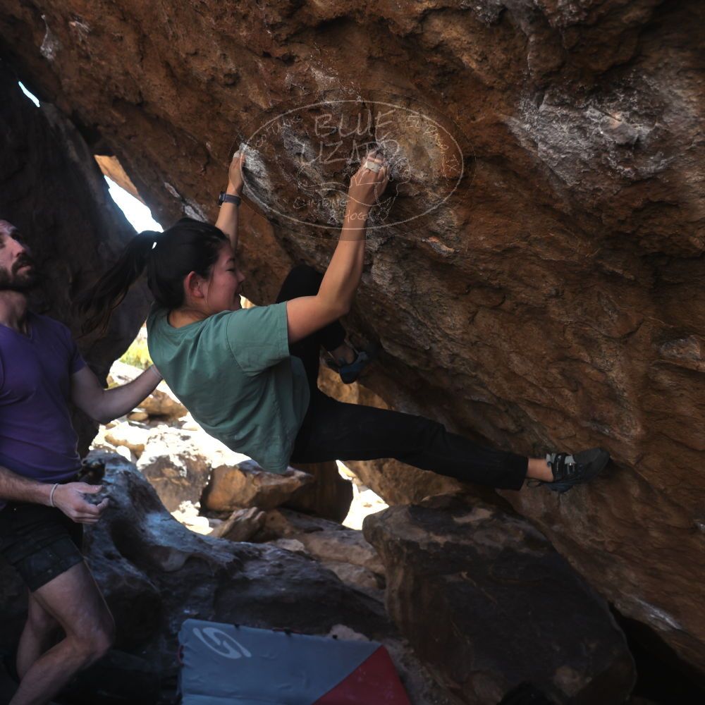 

Filename: SRM_20260208_1422160.jpg
Aperture: f/4.0
Shutter Speed: 1/400
Body: Canon EOS R6
Lens: Canon EF 16-35mm f/2.8 L