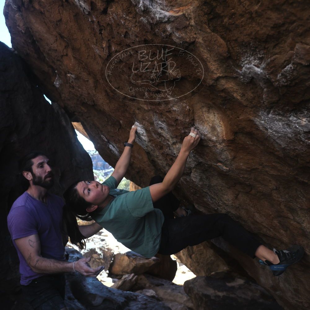 

Filename: SRM_20260208_1422190.jpg
Aperture: f/4.0
Shutter Speed: 1/400
Body: Canon EOS R6
Lens: Canon EF 16-35mm f/2.8 L