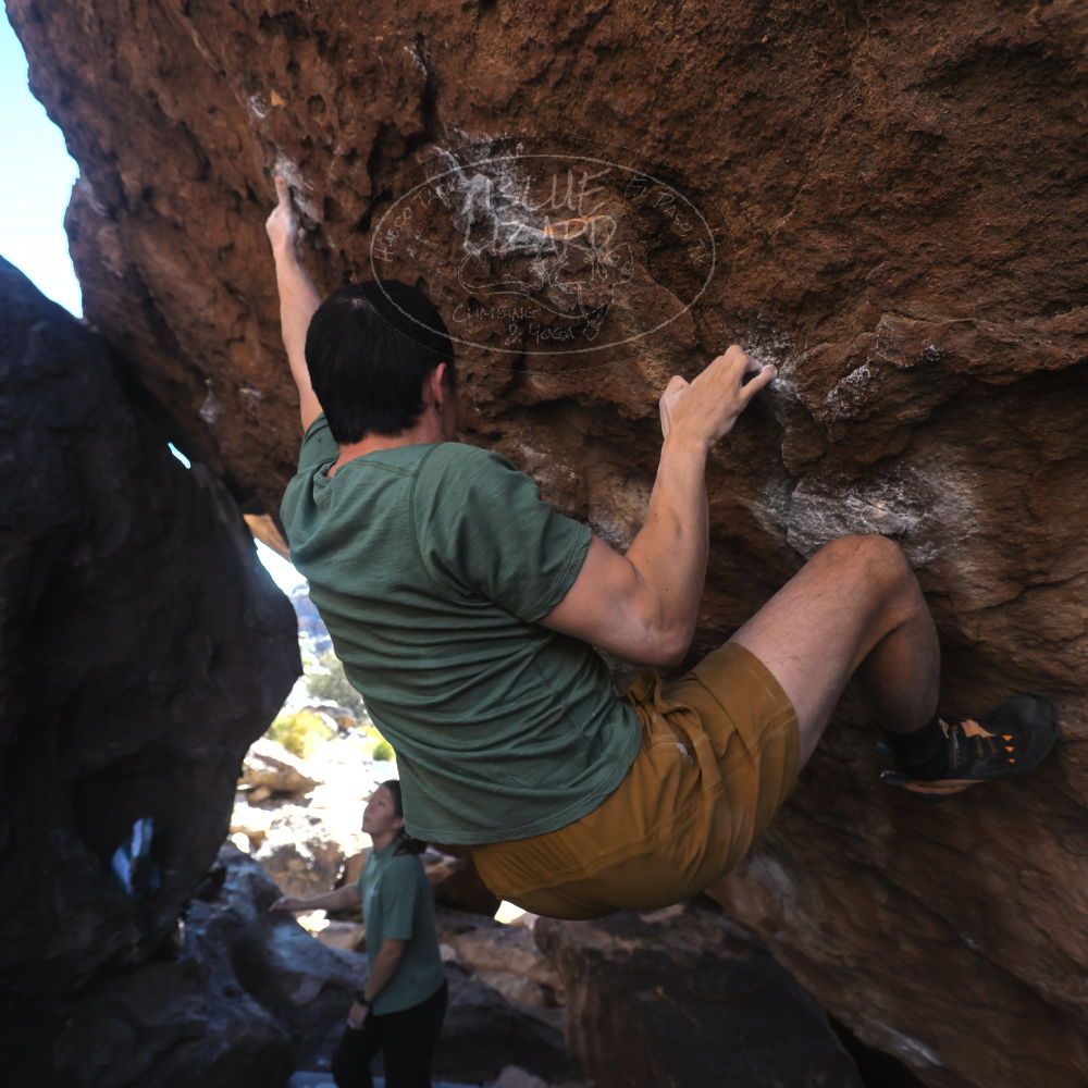 

Filename: SRM_20260208_1447240.jpg
Aperture: f/4.0
Shutter Speed: 1/400
Body: Canon EOS R6
Lens: Canon EF 16-35mm f/2.8 L