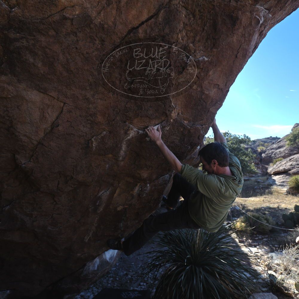 

Filename: SRM_20260208_1530020.jpg
Aperture: f/4.5
Shutter Speed: 1/320
Body: Canon EOS R6
Lens: Canon EF 16-35mm f/2.8 L