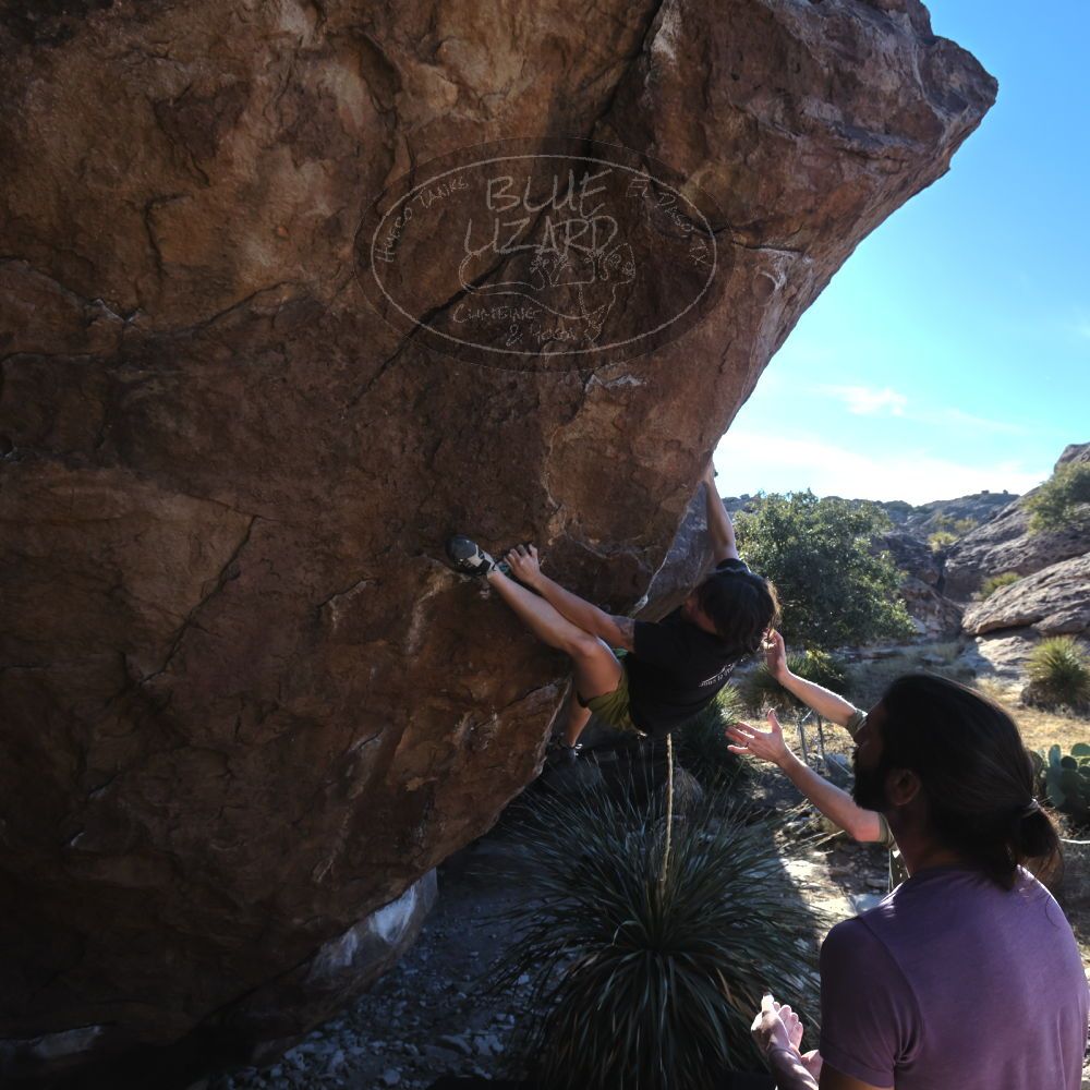 

Filename: SRM_20260208_1540260.jpg
Aperture: f/6.3
Shutter Speed: 1/500
Body: Canon EOS R6
Lens: Canon EF 16-35mm f/2.8 L