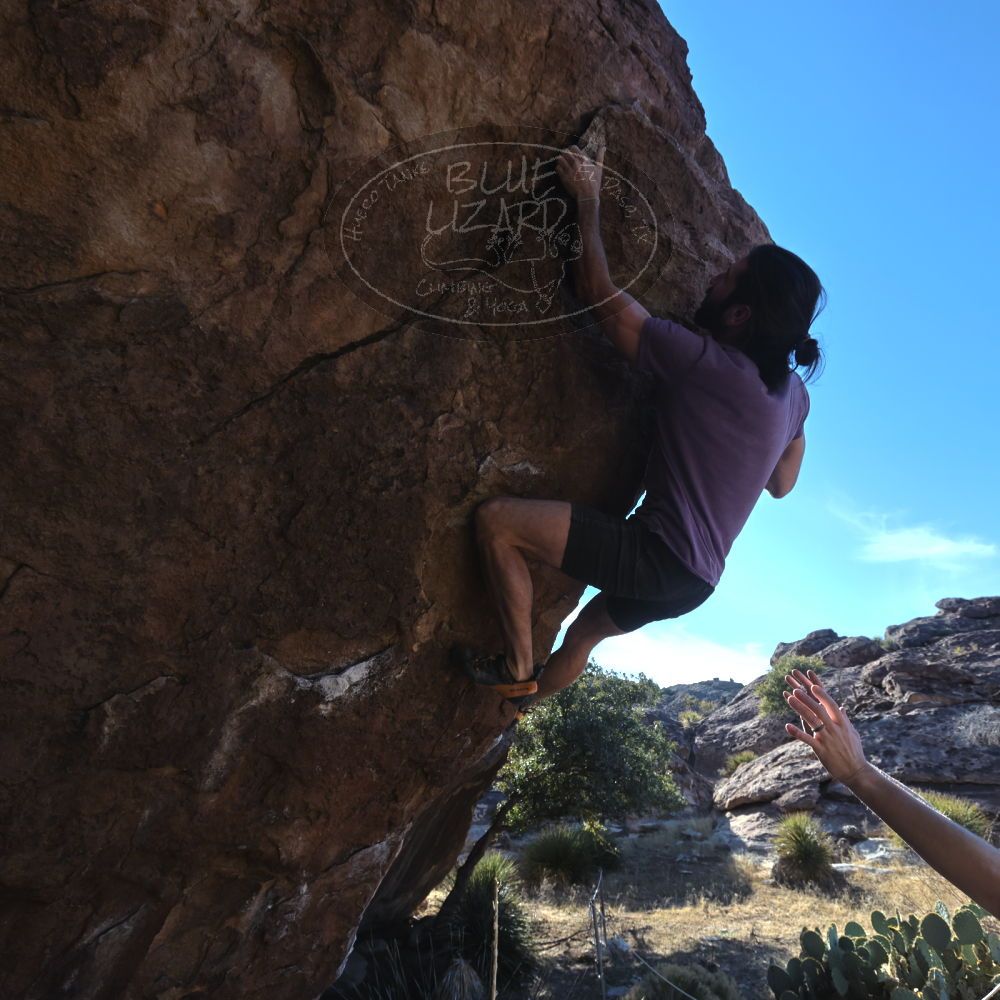 

Filename: SRM_20260208_1543090.jpg
Aperture: f/6.3
Shutter Speed: 1/500
Body: Canon EOS R6
Lens: Canon EF 16-35mm f/2.8 L