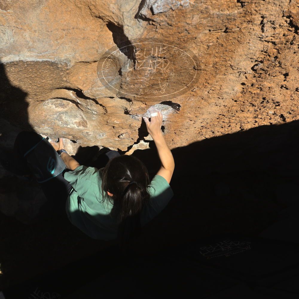 

Filename: SRM_20260208_1619520.jpg
Aperture: f/6.3
Shutter Speed: 1/500
Body: Canon EOS R6
Lens: Canon EF 16-35mm f/2.8 L