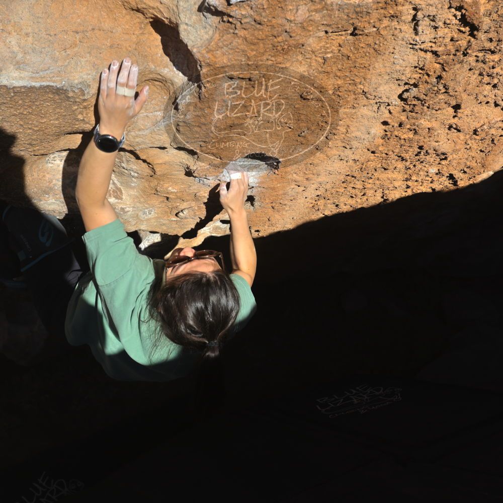 

Filename: SRM_20260208_1619530.jpg
Aperture: f/6.3
Shutter Speed: 1/500
Body: Canon EOS R6
Lens: Canon EF 16-35mm f/2.8 L