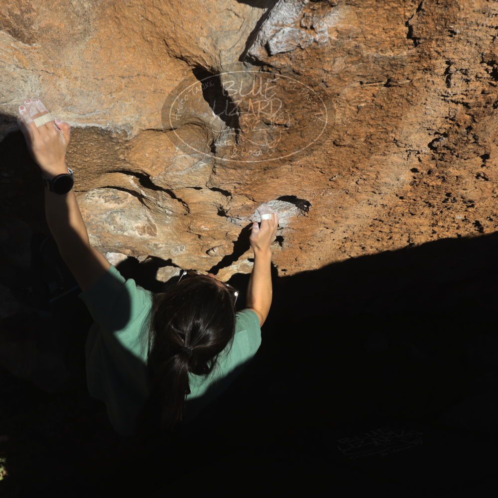 

Filename: SRM_20260208_1619550.jpg
Aperture: f/6.3
Shutter Speed: 1/500
Body: Canon EOS R6
Lens: Canon EF 16-35mm f/2.8 L