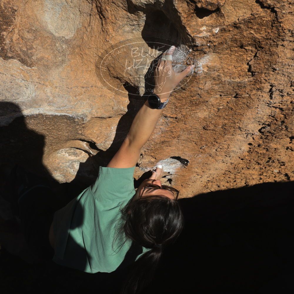 

Filename: SRM_20260208_1620050.jpg
Aperture: f/6.3
Shutter Speed: 1/500
Body: Canon EOS R6
Lens: Canon EF 16-35mm f/2.8 L