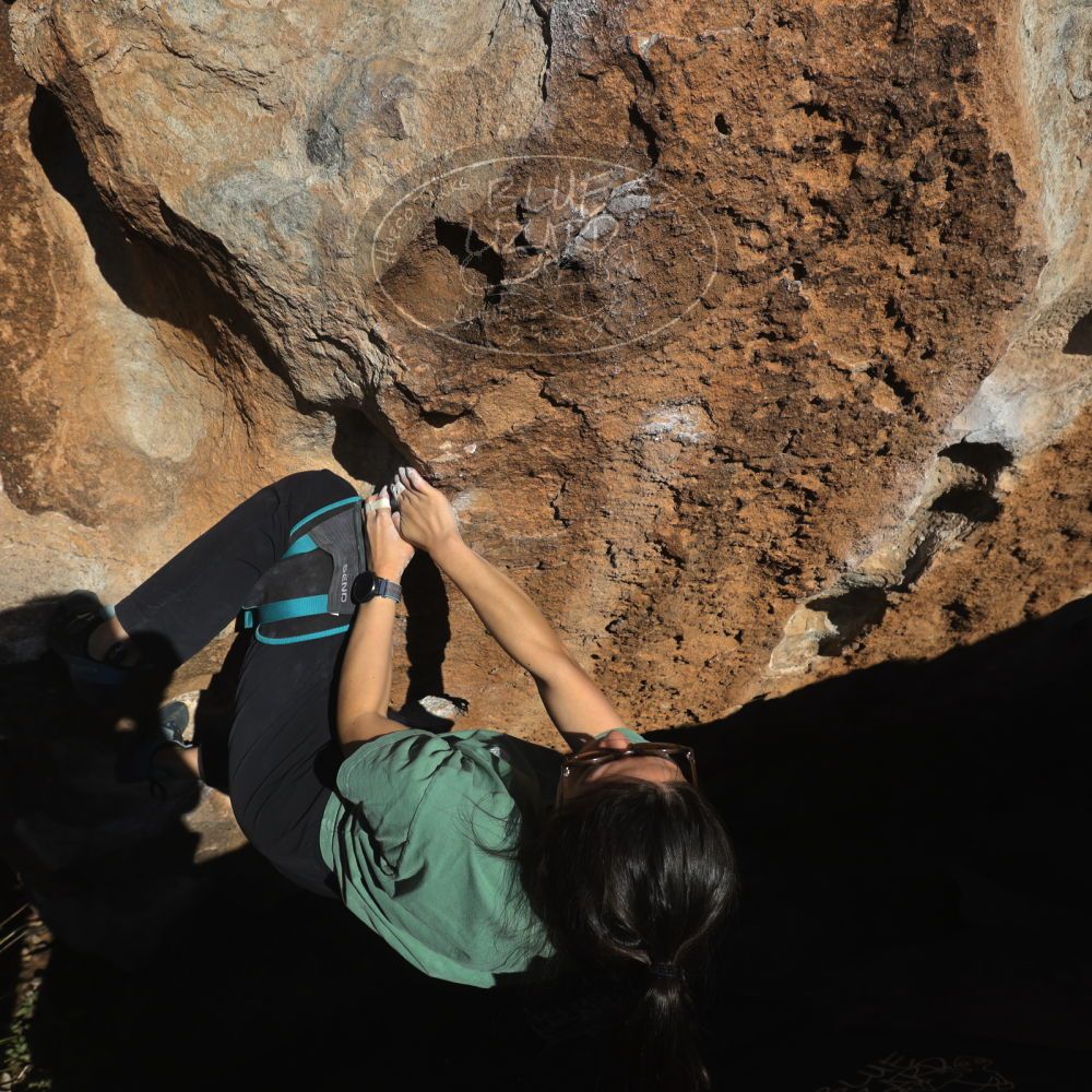 

Filename: SRM_20260208_1620181.jpg
Aperture: f/6.3
Shutter Speed: 1/500
Body: Canon EOS R6
Lens: Canon EF 16-35mm f/2.8 L