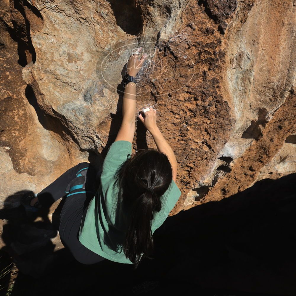 

Filename: SRM_20260208_1620220.jpg
Aperture: f/6.3
Shutter Speed: 1/500
Body: Canon EOS R6
Lens: Canon EF 16-35mm f/2.8 L