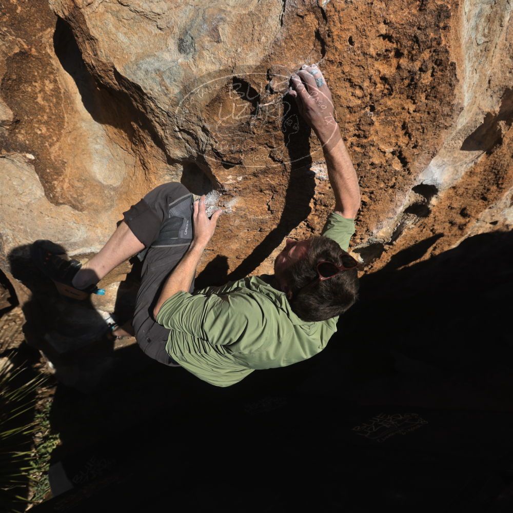 

Filename: SRM_20260208_1622560.jpg
Aperture: f/6.3
Shutter Speed: 1/500
Body: Canon EOS R6
Lens: Canon EF 16-35mm f/2.8 L