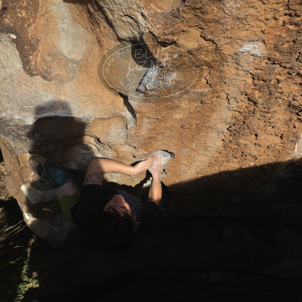 

Filename: SRM_20260208_1632060.jpg
Aperture: f/6.3
Shutter Speed: 1/500
Body: Canon EOS R6
Lens: Canon EF 16-35mm f/2.8 L