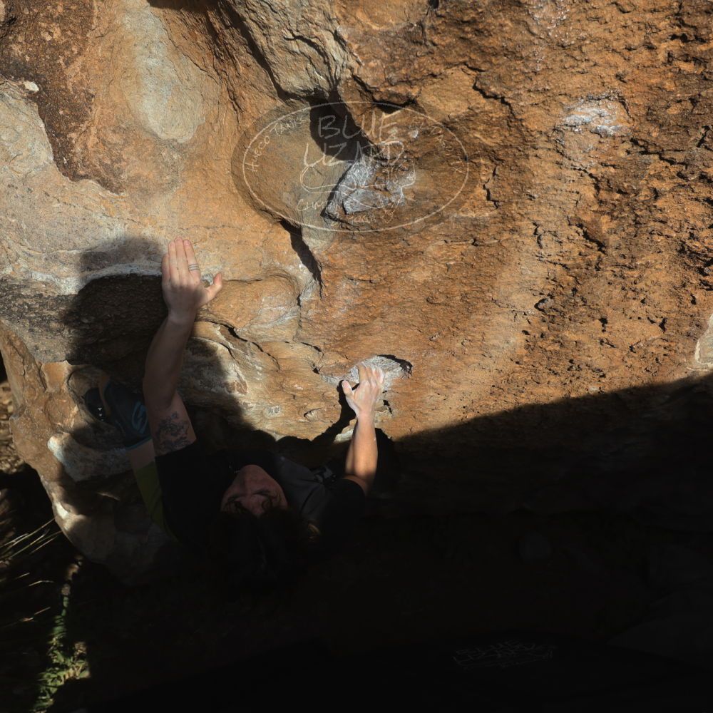 

Filename: SRM_20260208_1632070.jpg
Aperture: f/6.3
Shutter Speed: 1/500
Body: Canon EOS R6
Lens: Canon EF 16-35mm f/2.8 L