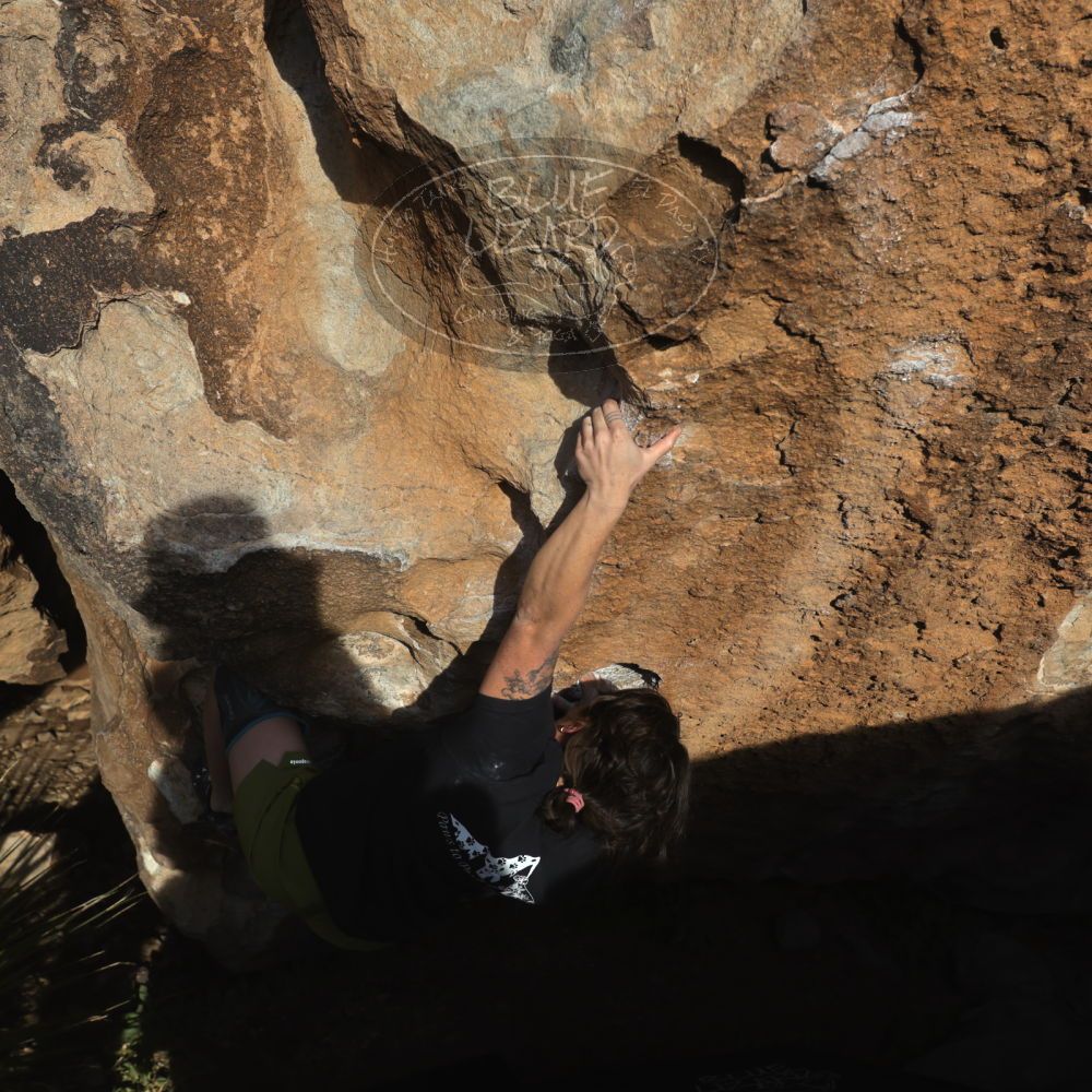 

Filename: SRM_20260208_1632150.jpg
Aperture: f/6.3
Shutter Speed: 1/500
Body: Canon EOS R6
Lens: Canon EF 16-35mm f/2.8 L