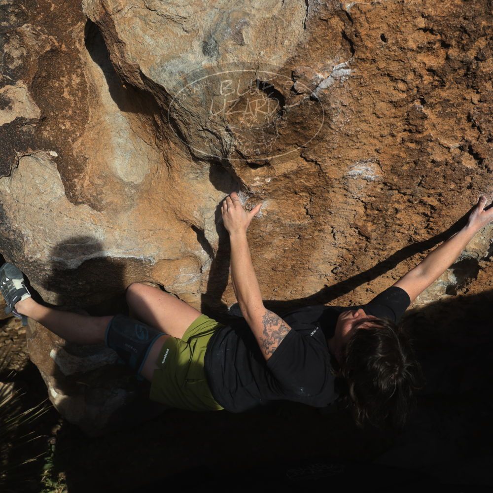 

Filename: SRM_20260208_1632190.jpg
Aperture: f/6.3
Shutter Speed: 1/500
Body: Canon EOS R6
Lens: Canon EF 16-35mm f/2.8 L