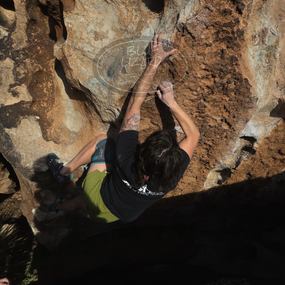 

Filename: SRM_20260208_1632240.jpg
Aperture: f/6.3
Shutter Speed: 1/500
Body: Canon EOS R6
Lens: Canon EF 16-35mm f/2.8 L