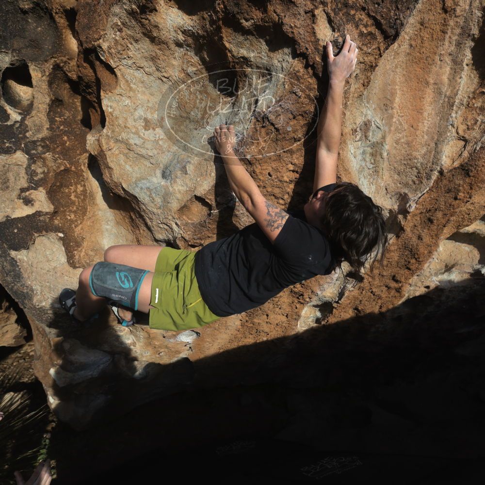 

Filename: SRM_20260208_1632290.jpg
Aperture: f/6.3
Shutter Speed: 1/500
Body: Canon EOS R6
Lens: Canon EF 16-35mm f/2.8 L