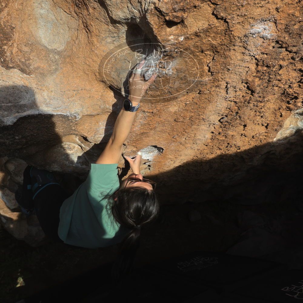 

Filename: SRM_20260208_1638350.jpg
Aperture: f/6.3
Shutter Speed: 1/500
Body: Canon EOS R6
Lens: Canon EF 16-35mm f/2.8 L