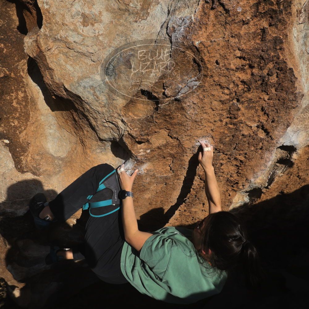 

Filename: SRM_20260208_1641270.jpg
Aperture: f/6.3
Shutter Speed: 1/500
Body: Canon EOS R6
Lens: Canon EF 16-35mm f/2.8 L