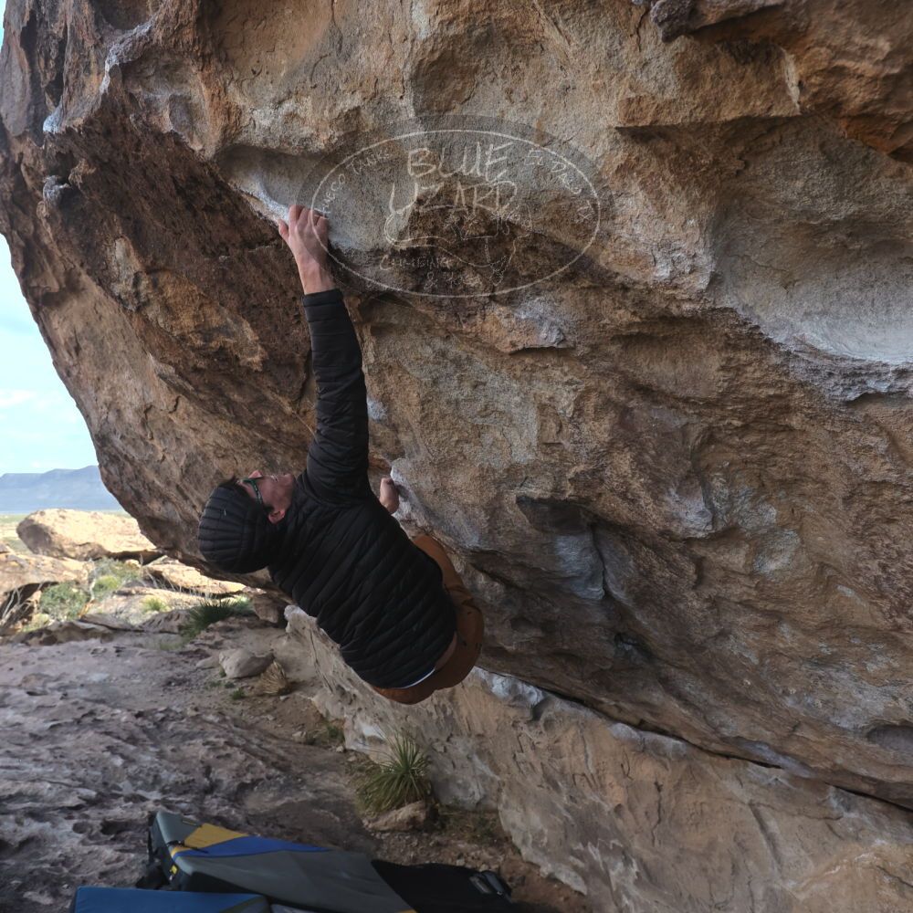 

Filename: SRM_20260307_0920011.jpg
Aperture: f/5.6
Shutter Speed: 1/500
Body: Canon EOS R6
Lens: Canon EF 16-35mm f/2.8 L