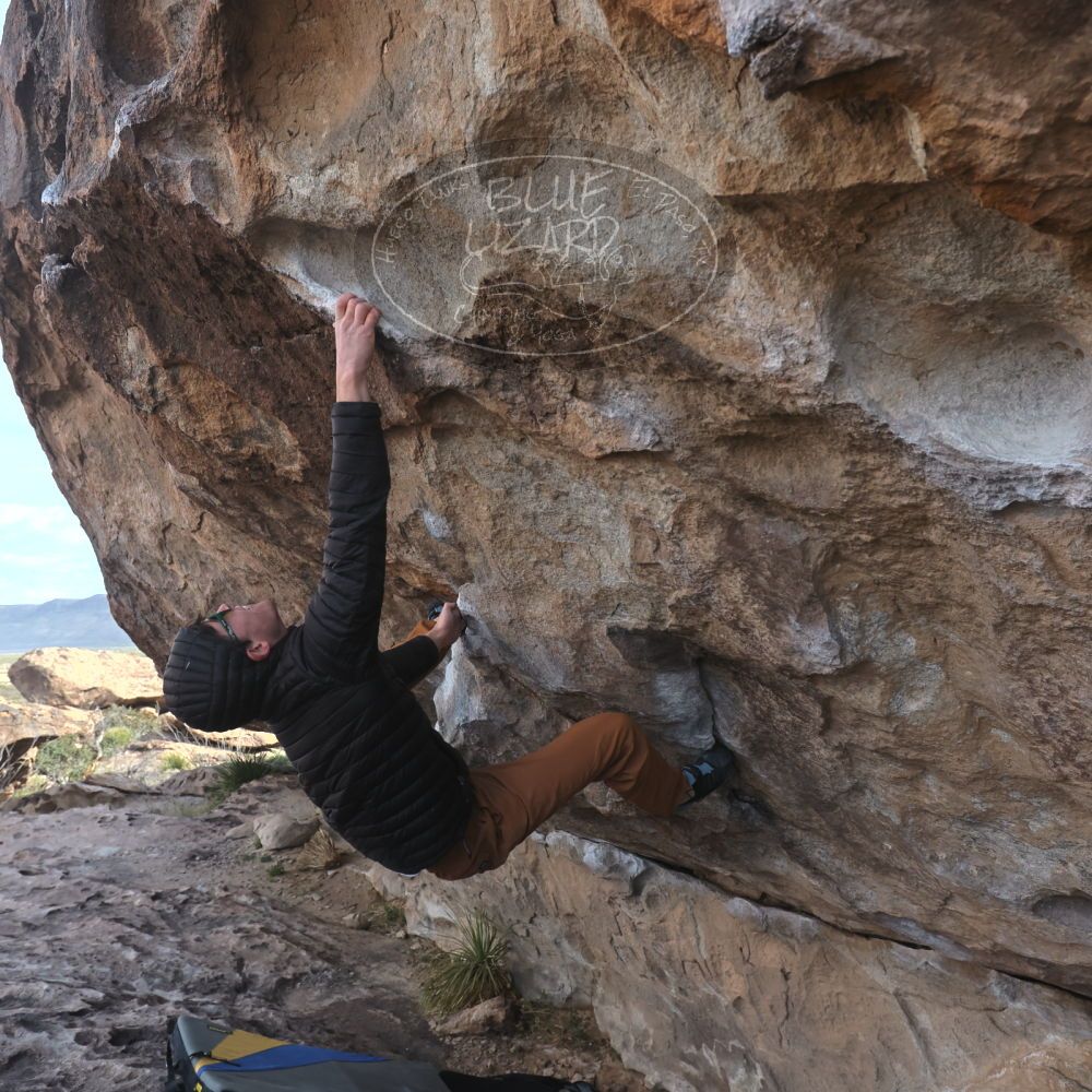 

Filename: SRM_20260307_0920050.jpg
Aperture: f/5.6
Shutter Speed: 1/500
Body: Canon EOS R6
Lens: Canon EF 16-35mm f/2.8 L