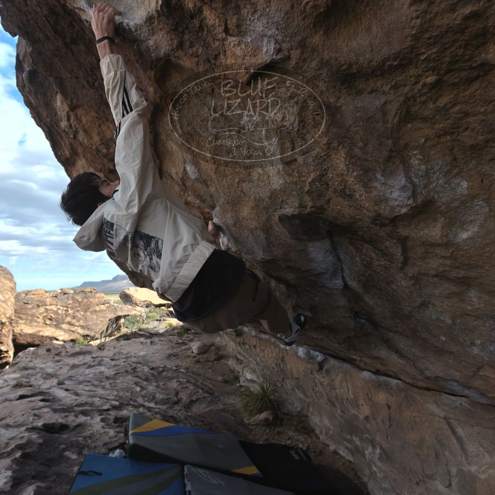 

Filename: SRM_20260307_0925580.jpg
Aperture: f/5.6
Shutter Speed: 1/500
Body: Canon EOS R6
Lens: Canon EF 16-35mm f/2.8 L