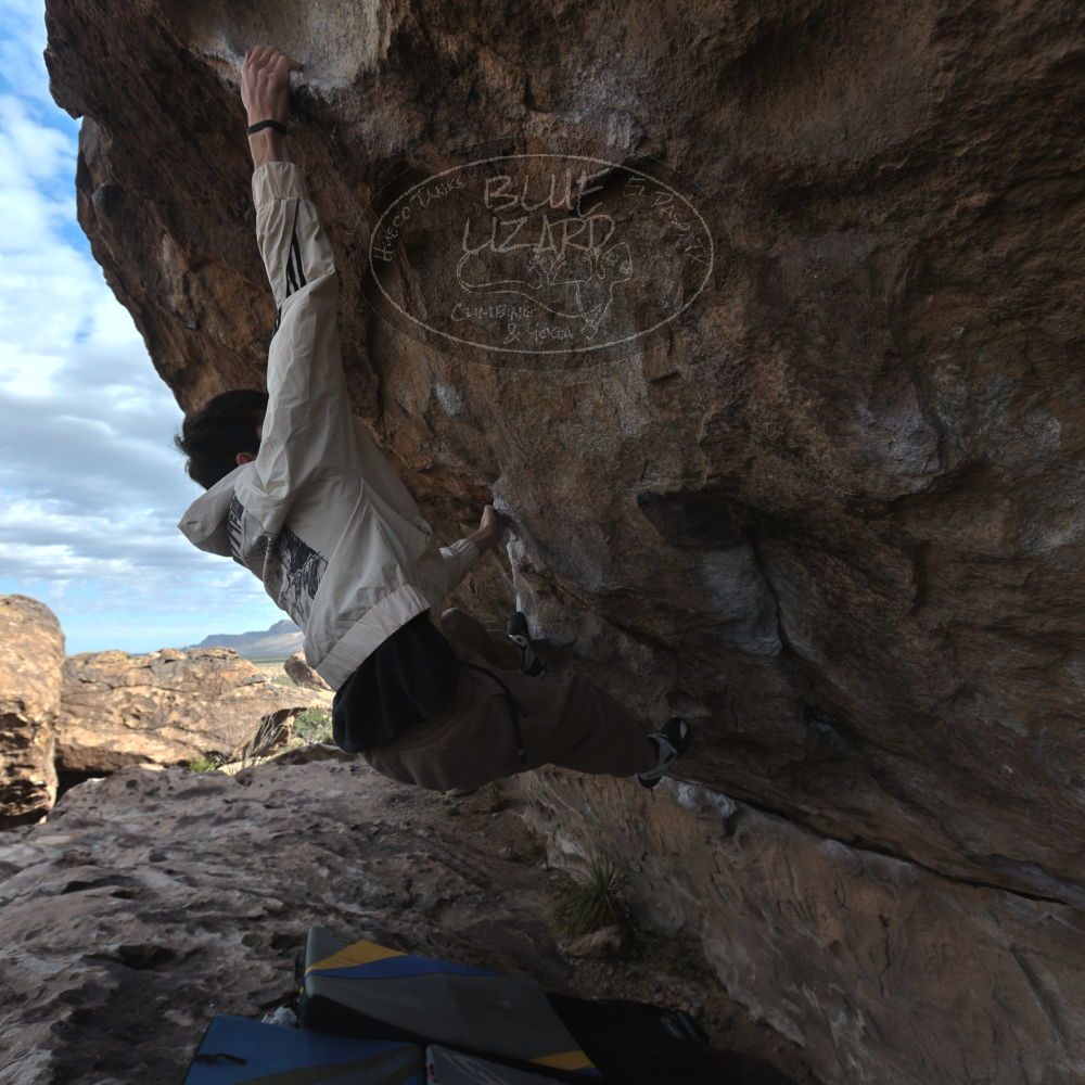 

Filename: SRM_20260307_0925581.jpg
Aperture: f/5.6
Shutter Speed: 1/500
Body: Canon EOS R6
Lens: Canon EF 16-35mm f/2.8 L