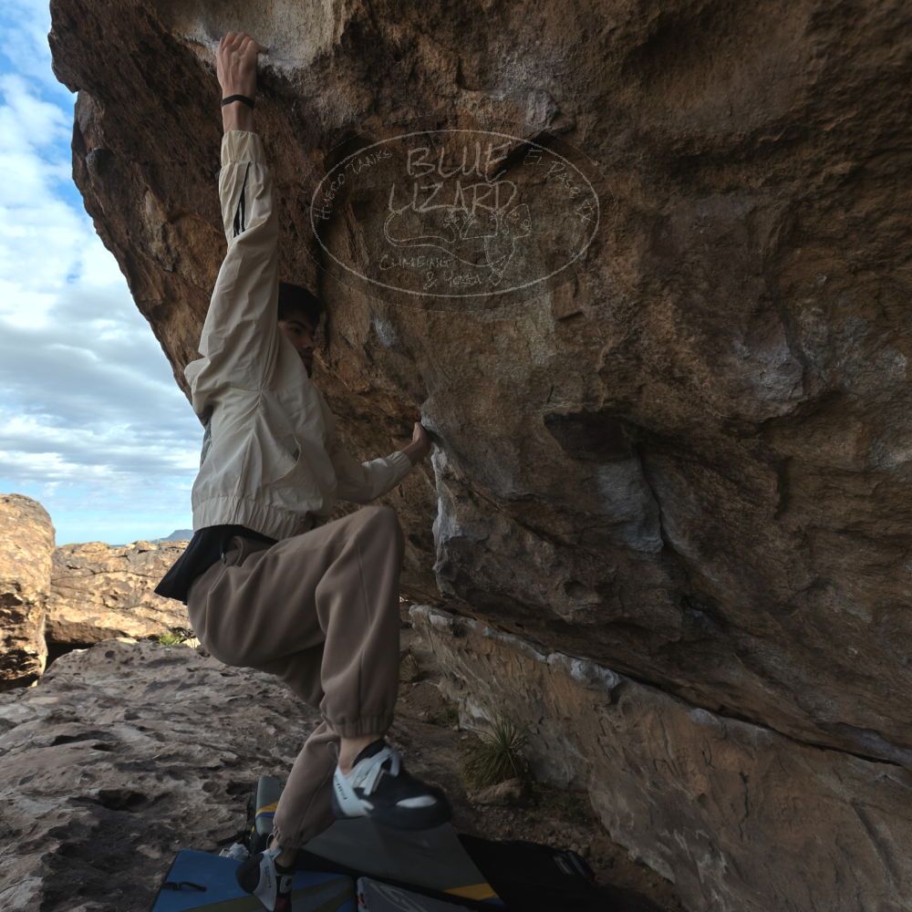 

Filename: SRM_20260307_0925590.jpg
Aperture: f/5.6
Shutter Speed: 1/500
Body: Canon EOS R6
Lens: Canon EF 16-35mm f/2.8 L