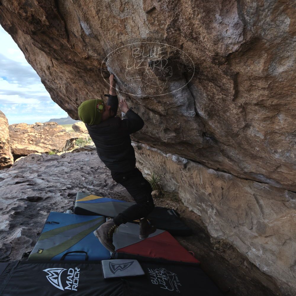 

Filename: SRM_20260307_0928060.jpg
Aperture: f/5.6
Shutter Speed: 1/500
Body: Canon EOS R6
Lens: Canon EF 16-35mm f/2.8 L