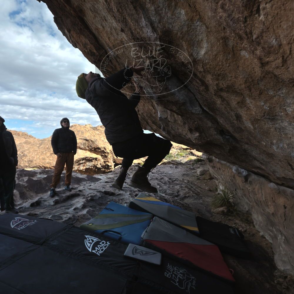 

Filename: SRM_20260307_0928100.jpg
Aperture: f/5.6
Shutter Speed: 1/500
Body: Canon EOS R6
Lens: Canon EF 16-35mm f/2.8 L