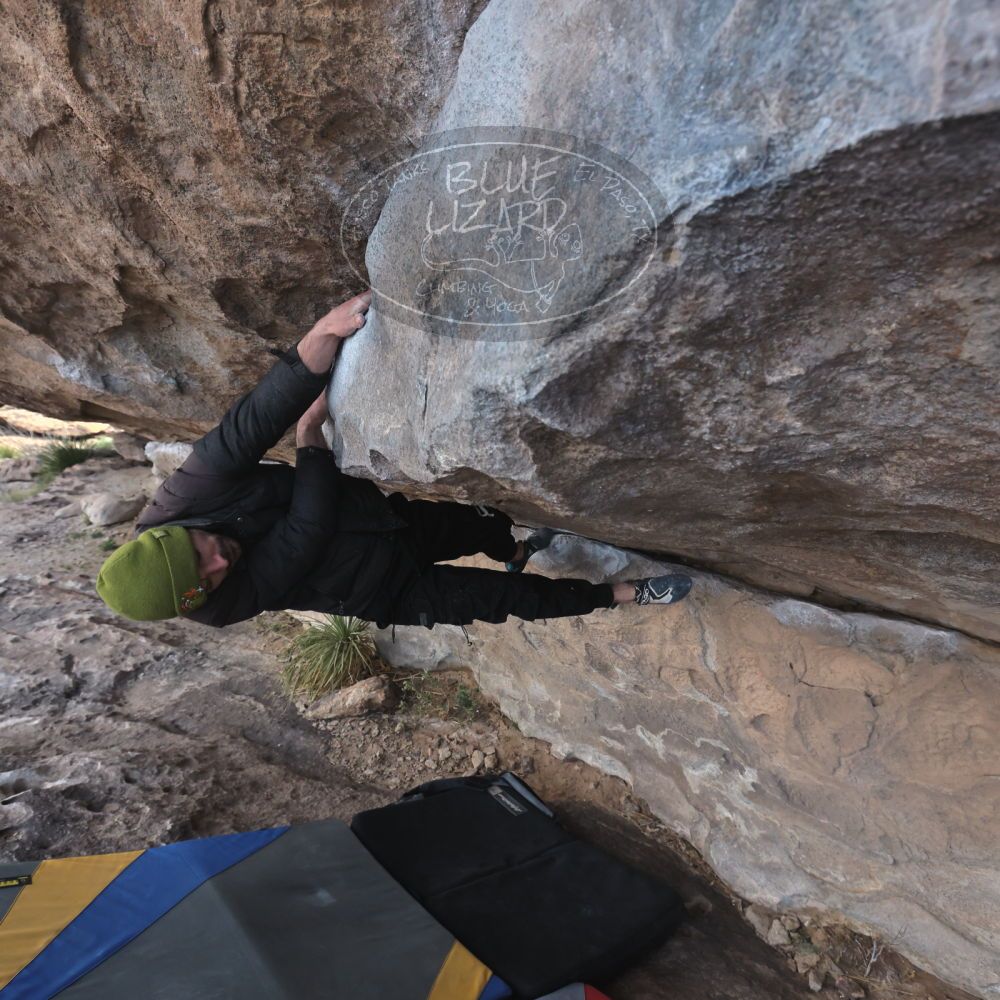 

Filename: SRM_20260307_0933580.jpg
Aperture: f/5.6
Shutter Speed: 1/500
Body: Canon EOS R6
Lens: Canon EF 16-35mm f/2.8 L