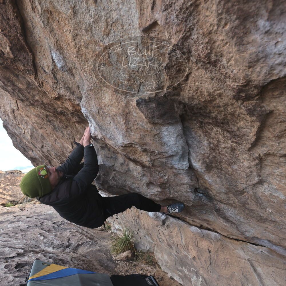 

Filename: SRM_20260307_0934130.jpg
Aperture: f/5.6
Shutter Speed: 1/500
Body: Canon EOS R6
Lens: Canon EF 16-35mm f/2.8 L