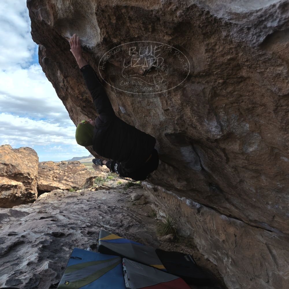 

Filename: SRM_20260307_0934270.jpg
Aperture: f/5.6
Shutter Speed: 1/500
Body: Canon EOS R6
Lens: Canon EF 16-35mm f/2.8 L