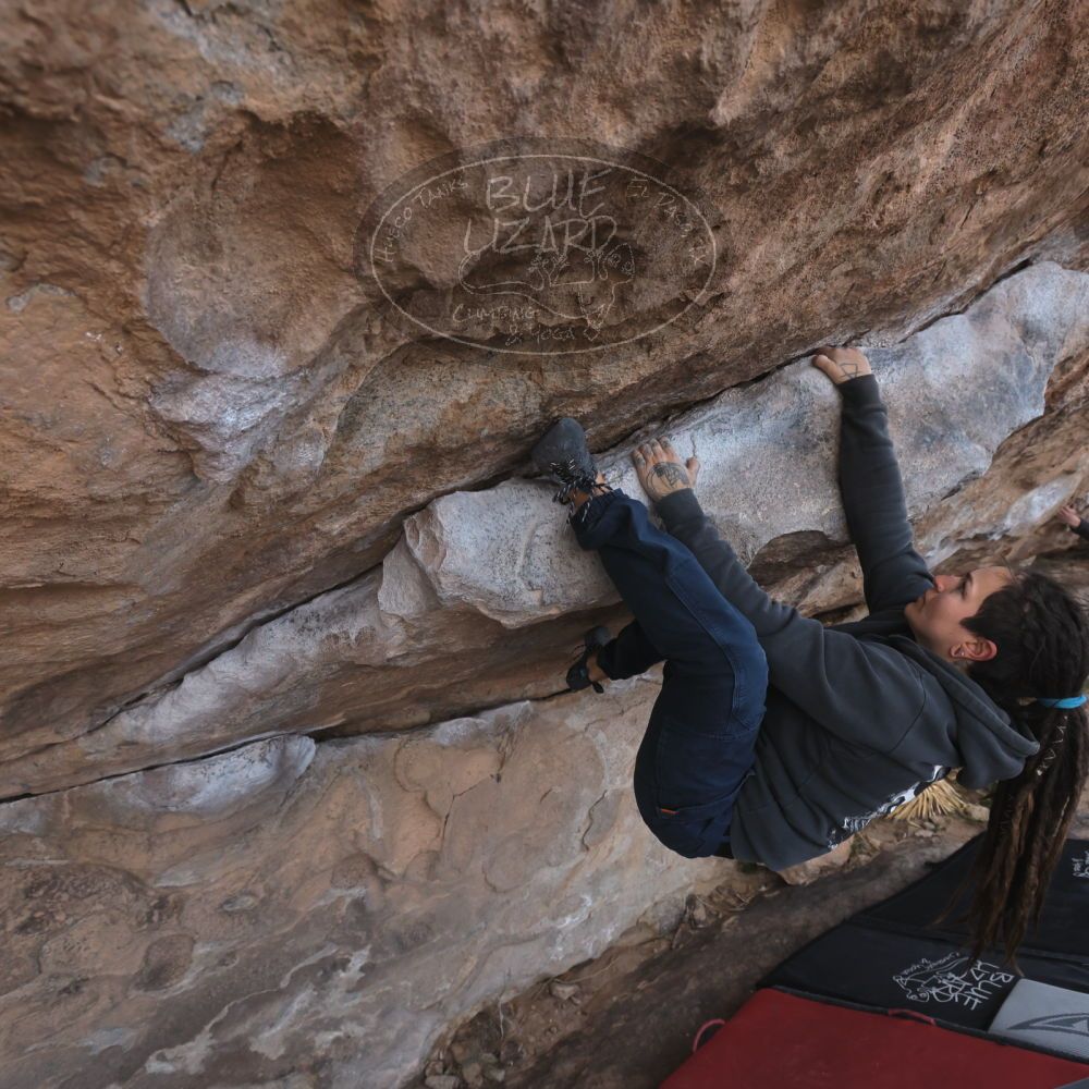 

Filename: SRM_20260307_0942260.jpg
Aperture: f/5.6
Shutter Speed: 1/500
Body: Canon EOS R6
Lens: Canon EF 16-35mm f/2.8 L