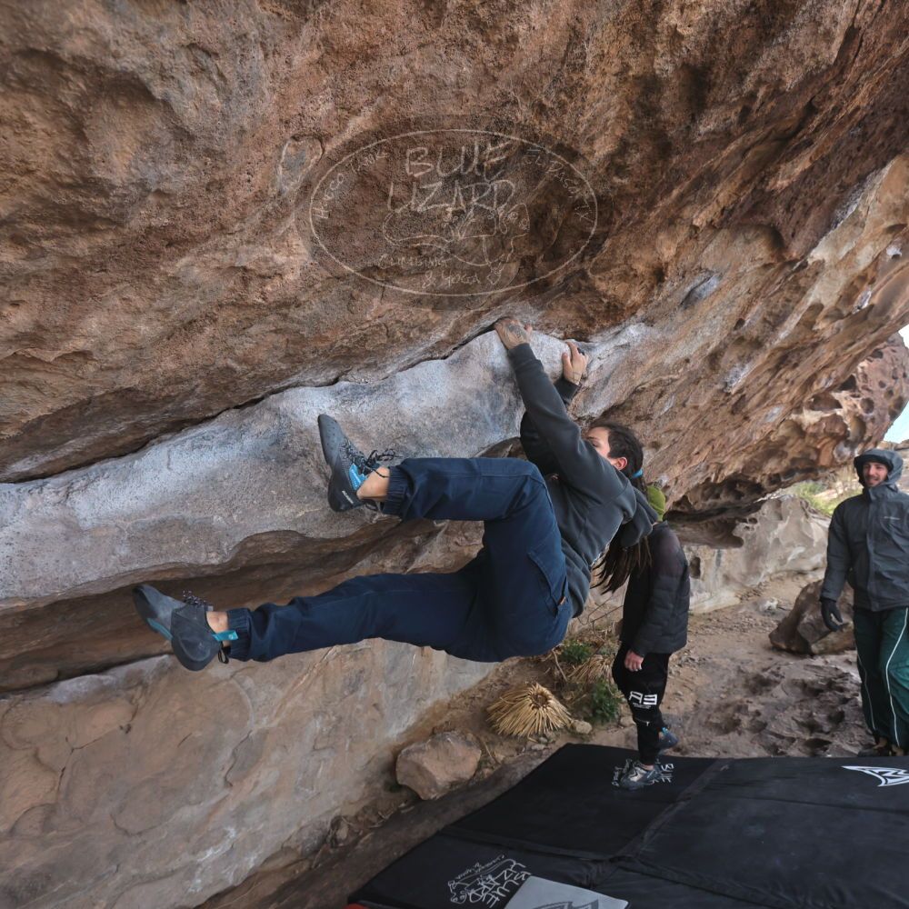 

Filename: SRM_20260307_0949080.jpg
Aperture: f/5.6
Shutter Speed: 1/500
Body: Canon EOS R6
Lens: Canon EF 16-35mm f/2.8 L