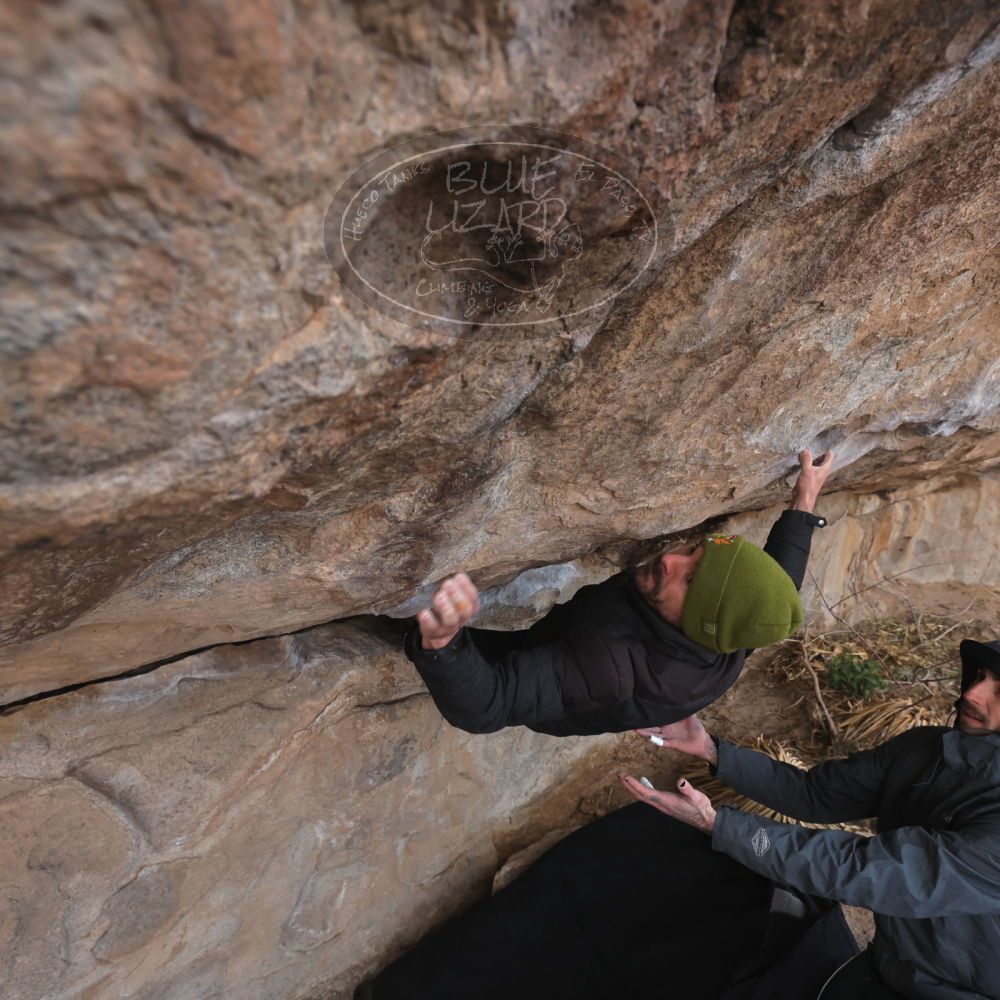 

Filename: SRM_20260307_0955090.jpg
Aperture: f/5.6
Shutter Speed: 1/500
Body: Canon EOS R6
Lens: Canon EF 16-35mm f/2.8 L