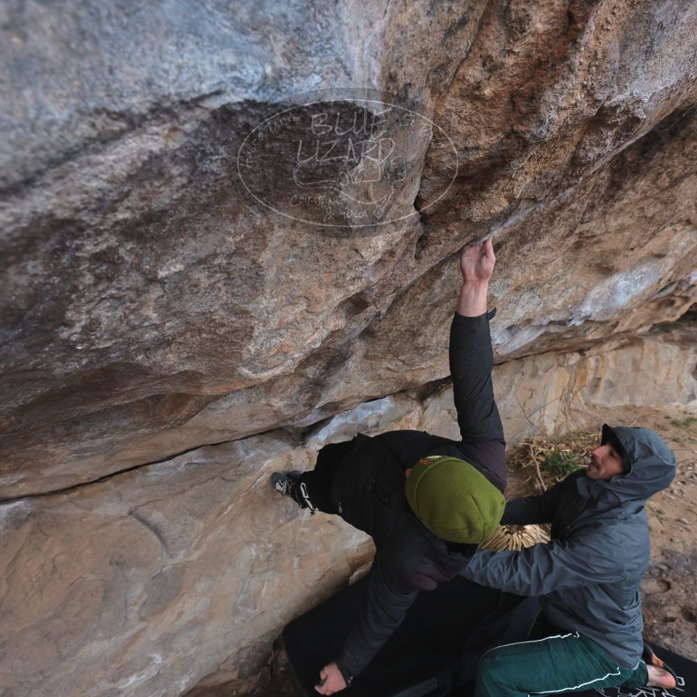 

Filename: SRM_20260307_0955520.jpg
Aperture: f/5.6
Shutter Speed: 1/500
Body: Canon EOS R6
Lens: Canon EF 16-35mm f/2.8 L