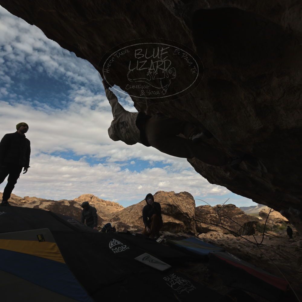 

Filename: SRM_20260307_1001250.jpg
Aperture: f/5.6
Shutter Speed: 1/500
Body: Canon EOS R6
Lens: Canon EF 16-35mm f/2.8 L