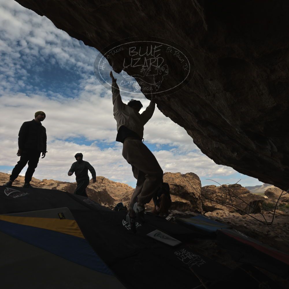 

Filename: SRM_20260307_1001280.jpg
Aperture: f/5.6
Shutter Speed: 1/500
Body: Canon EOS R6
Lens: Canon EF 16-35mm f/2.8 L