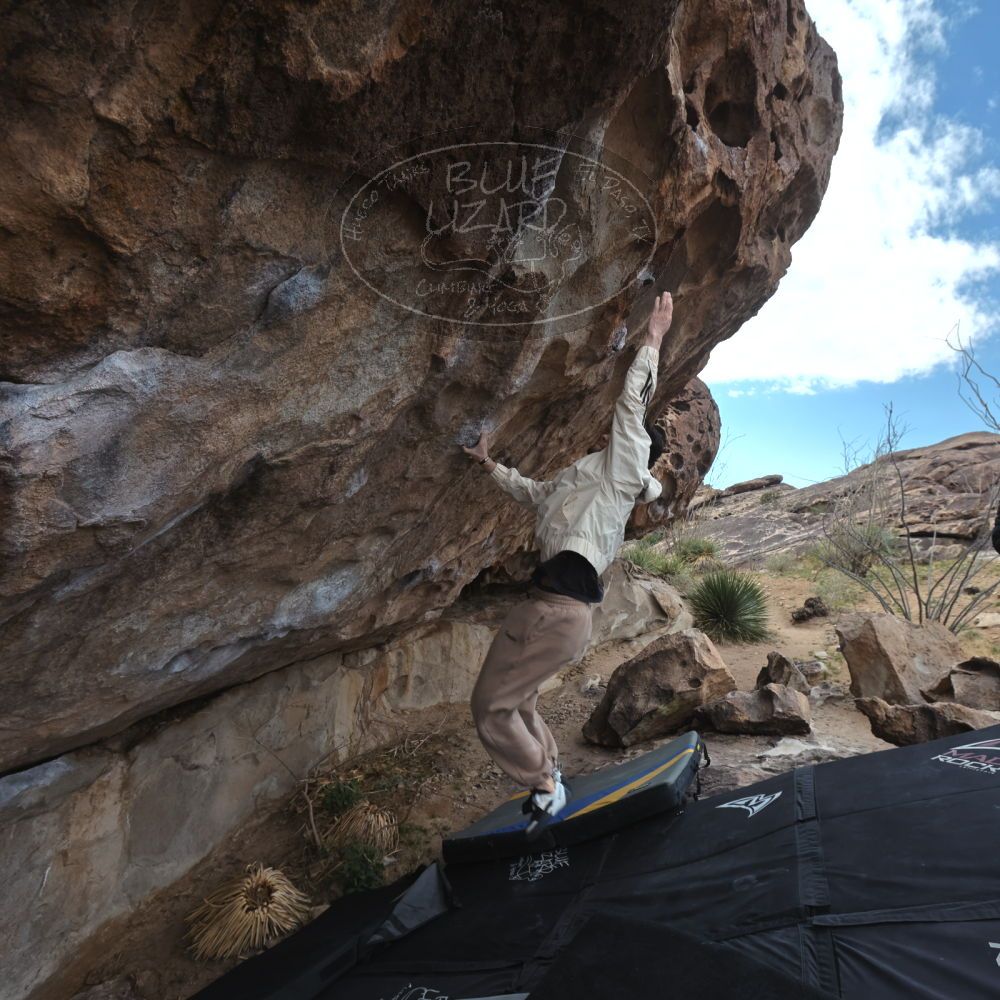 

Filename: SRM_20260307_1004290.jpg
Aperture: f/5.6
Shutter Speed: 1/500
Body: Canon EOS R6
Lens: Canon EF 16-35mm f/2.8 L