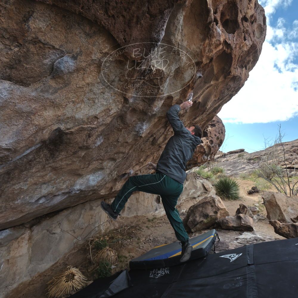 

Filename: SRM_20260307_1005450.jpg
Aperture: f/5.6
Shutter Speed: 1/500
Body: Canon EOS R6
Lens: Canon EF 16-35mm f/2.8 L