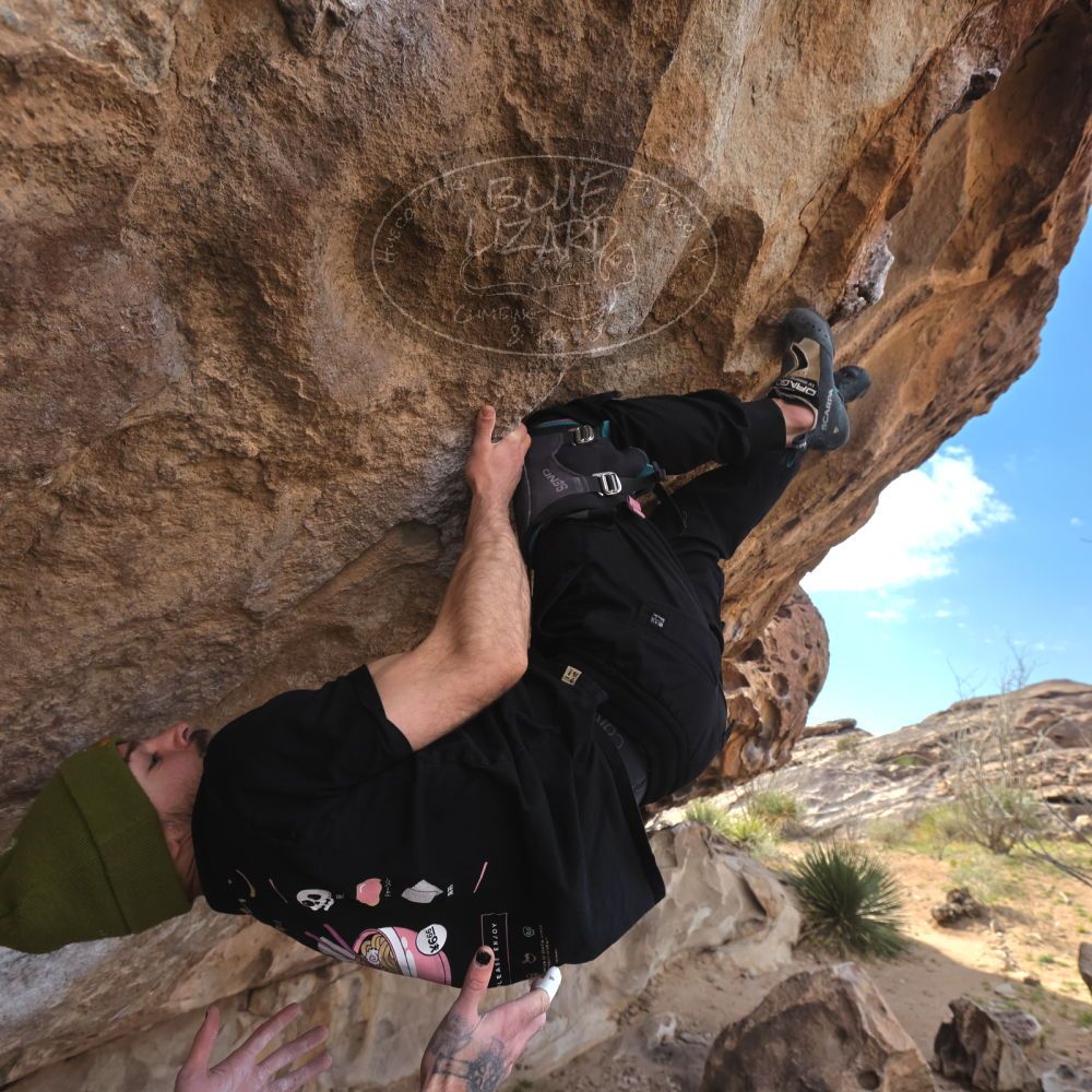 

Filename: SRM_20260307_1014360.jpg
Aperture: f/5.6
Shutter Speed: 1/500
Body: Canon EOS R6
Lens: Canon EF 16-35mm f/2.8 L