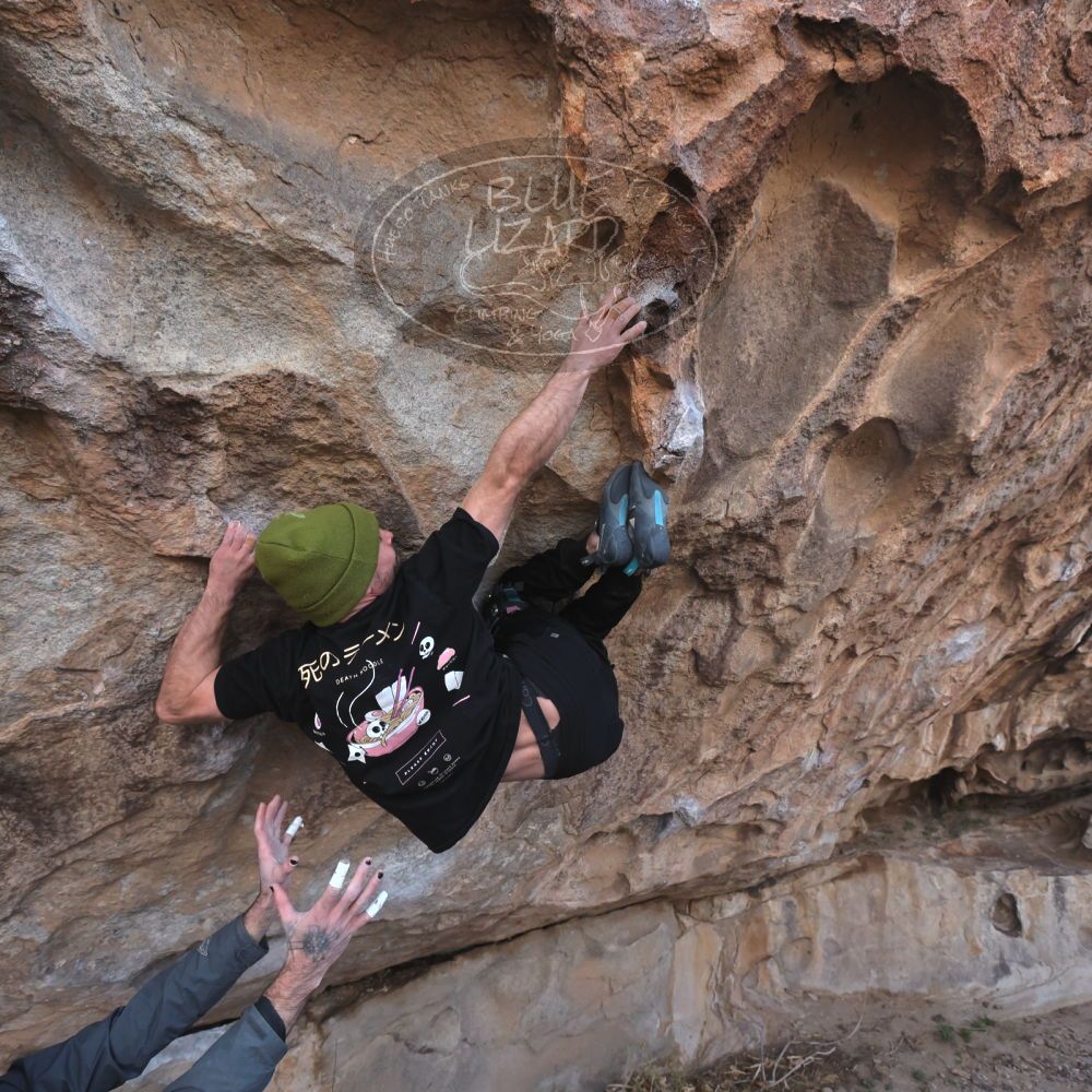 

Filename: SRM_20260307_1018440.jpg
Aperture: f/5.6
Shutter Speed: 1/500
Body: Canon EOS R6
Lens: Canon EF 16-35mm f/2.8 L