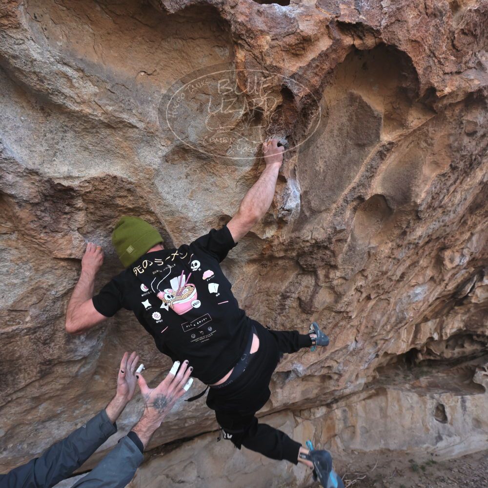 

Filename: SRM_20260307_1018480.jpg
Aperture: f/5.6
Shutter Speed: 1/500
Body: Canon EOS R6
Lens: Canon EF 16-35mm f/2.8 L