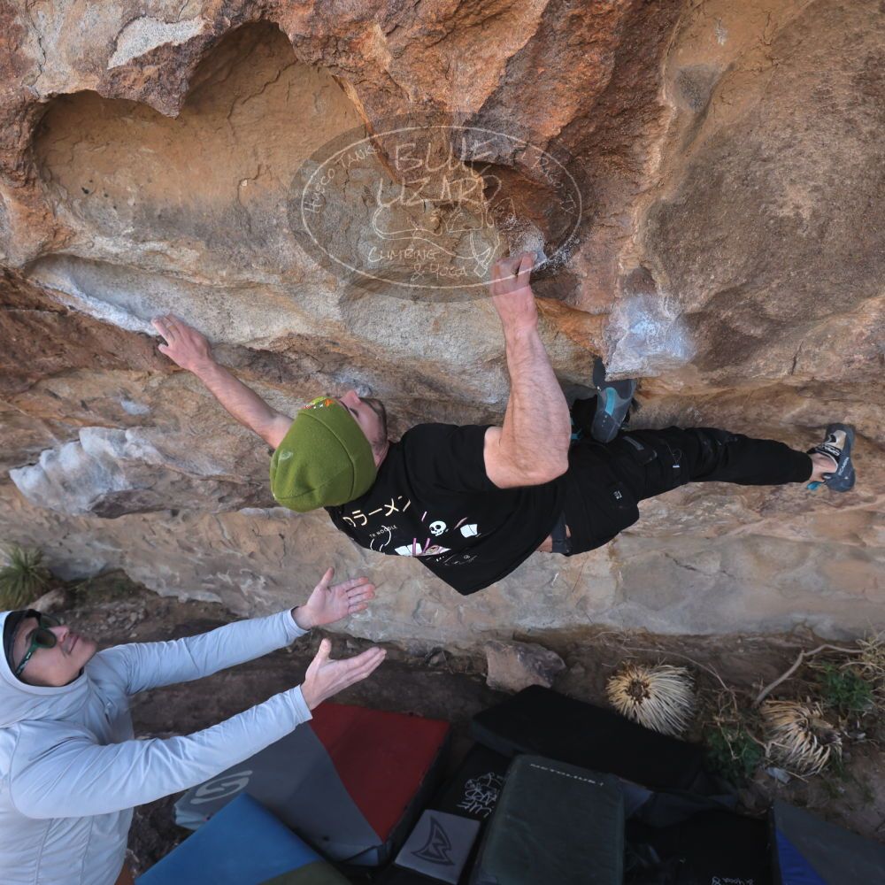 

Filename: SRM_20260307_1024230.jpg
Aperture: f/5.6
Shutter Speed: 1/500
Body: Canon EOS R6
Lens: Canon EF 16-35mm f/2.8 L