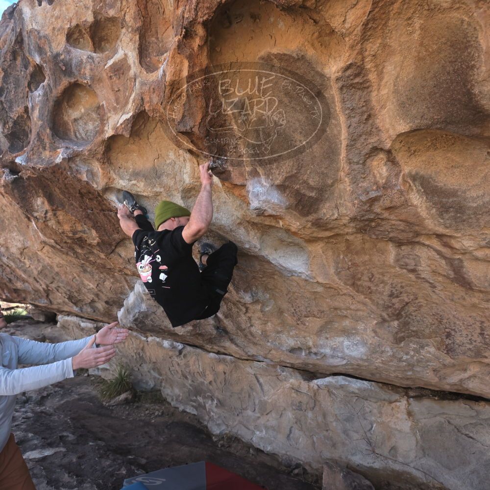 

Filename: SRM_20260307_1024370.jpg
Aperture: f/5.6
Shutter Speed: 1/500
Body: Canon EOS R6
Lens: Canon EF 16-35mm f/2.8 L