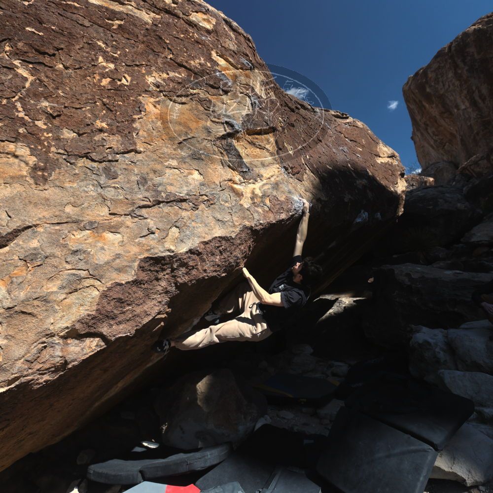 

Filename: SRM_20260307_1102350.jpg
Aperture: f/5.6
Shutter Speed: 1/500
Body: Canon EOS R6
Lens: Canon EF 16-35mm f/2.8 L