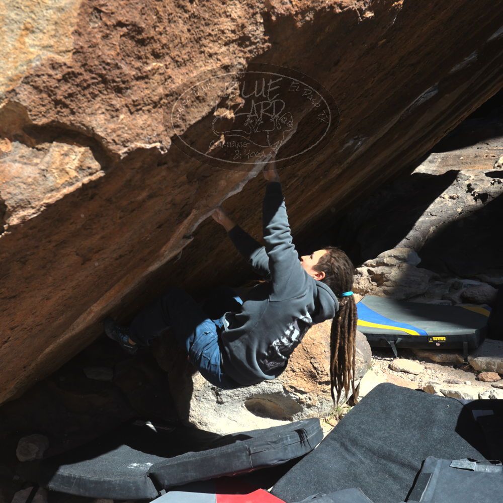 

Filename: SRM_20260307_1110360.jpg
Aperture: f/5.6
Shutter Speed: 1/500
Body: Canon EOS R6
Lens: Canon EF 16-35mm f/2.8 L