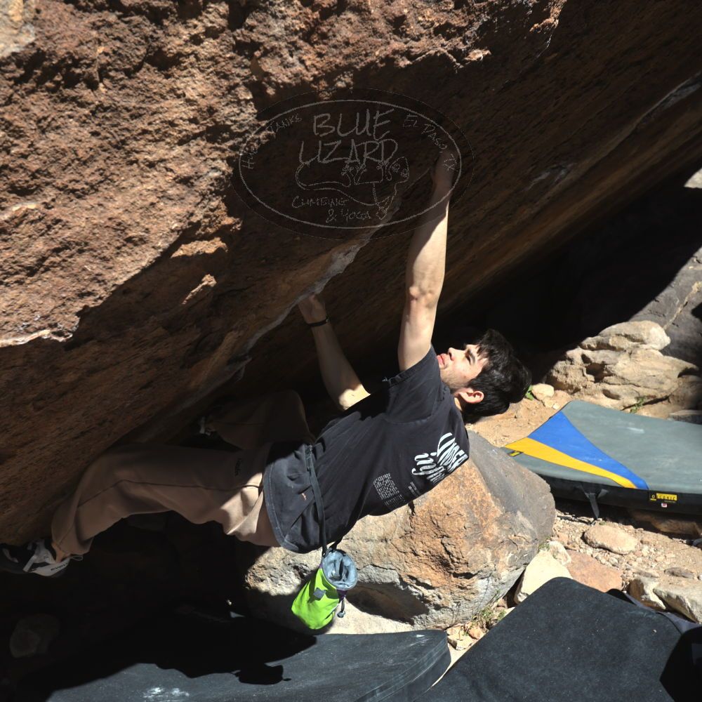 

Filename: SRM_20260307_1113240.jpg
Aperture: f/5.6
Shutter Speed: 1/500
Body: Canon EOS R6
Lens: Canon EF 16-35mm f/2.8 L